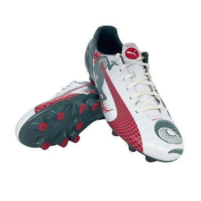 Puma evoSpeed 4.3 Dragon Graphic FG