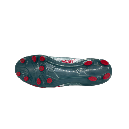 Puma evoSpeed 4.3 Dragon Graphic FG