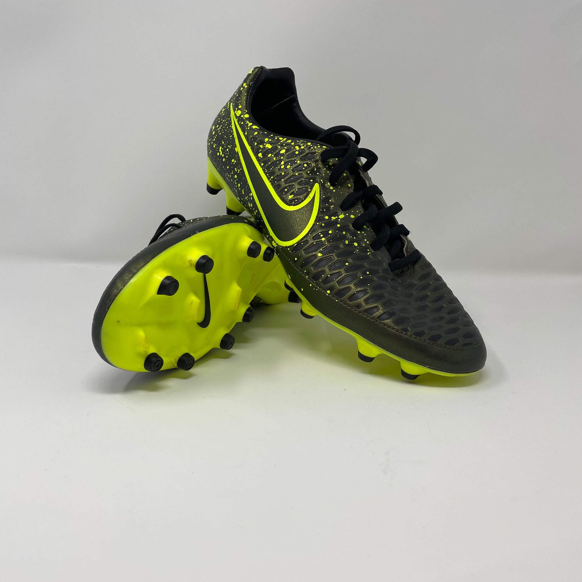 Magista 219 2025
